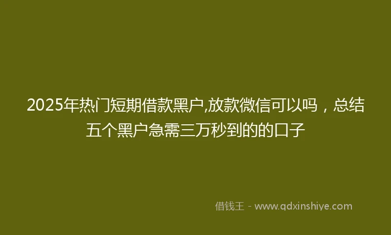 2025年热门短期借款黑户,放款微信可以吗，总结五个黑户急需三万秒到的的口子