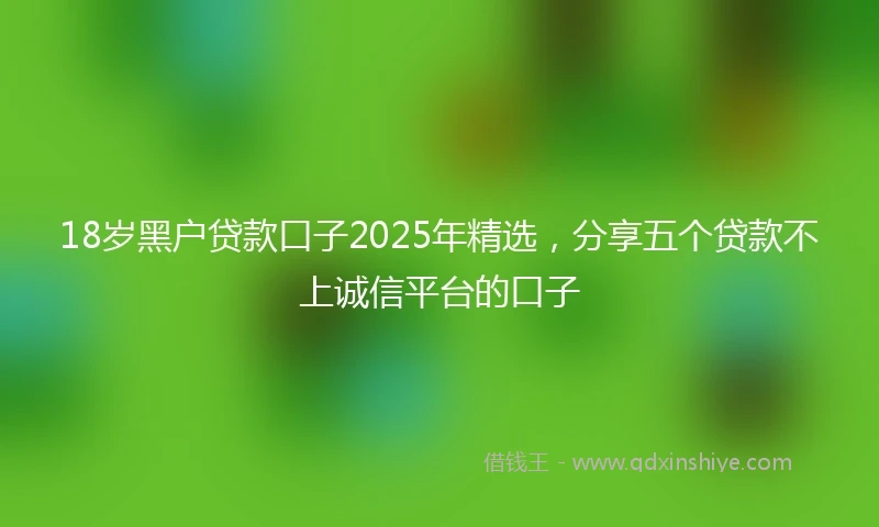 18岁黑户贷款口子2025年精选，分享五个贷款不上诚信平台的口子