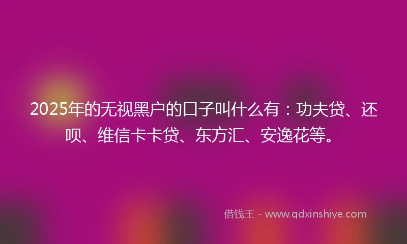 2025年的无视黑户的口子叫什么有：功夫贷、还呗、维信卡卡贷、东方汇、安逸花等。