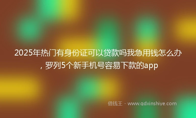 2025年热门有身份证可以贷款吗我急用钱怎么办，罗列5个新手机号容易下款的app