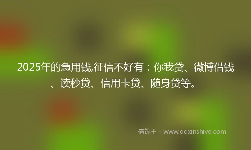 2025年的急用钱,征信不好有：你我贷、微博借钱、读秒贷、信用卡贷、随身贷等。