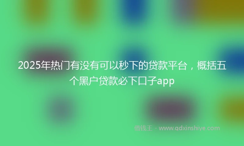 2025年热门有没有可以秒下的贷款平台，概括五个黑户贷款必下口子app