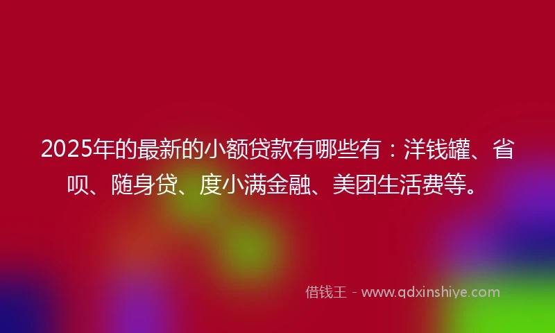 2025年的最新的小额贷款有哪些有：洋钱罐、省呗、随身贷、度小满金融、美团生活费等。