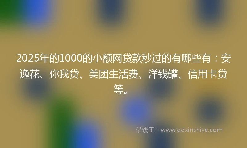 2025年的1000的小额网贷款秒过的有哪些有：安逸花、你我贷、美团生活费、洋钱罐、信用卡贷等。