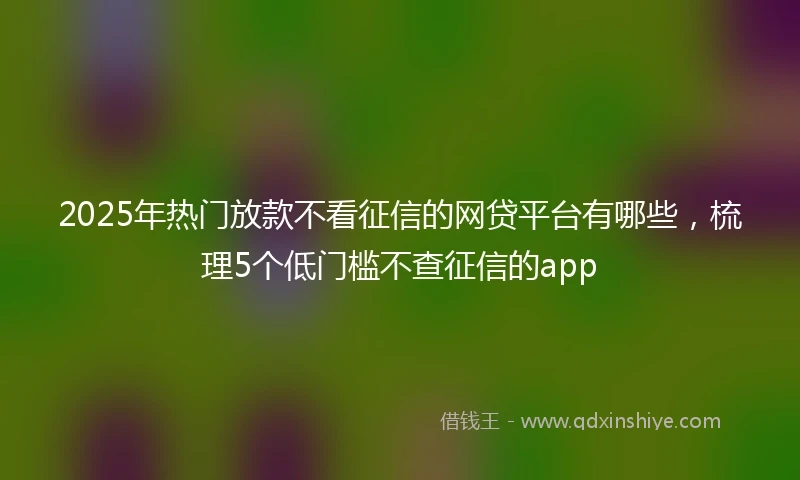 2025年热门放款不看征信的网贷平台有哪些，梳理5个低门槛不查征信的app