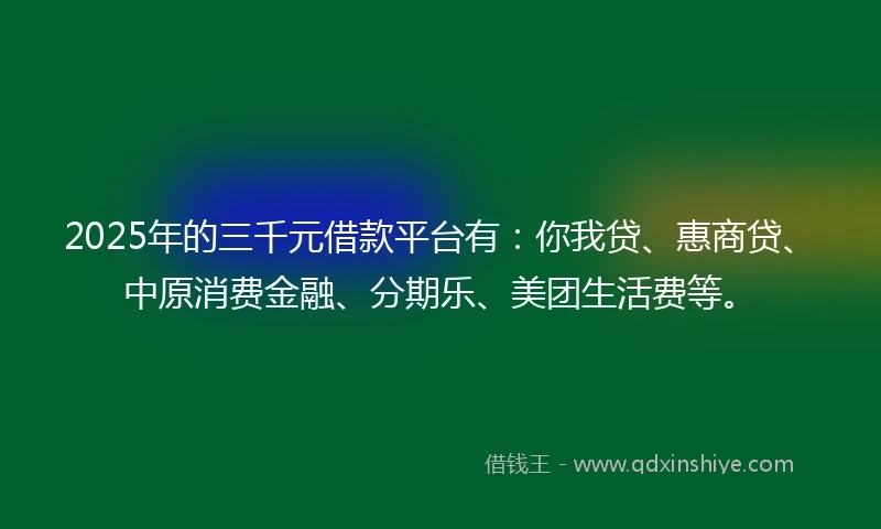 2025年的三千元借款平台有：你我贷、惠商贷、中原消费金融、分期乐、美团生活费等。