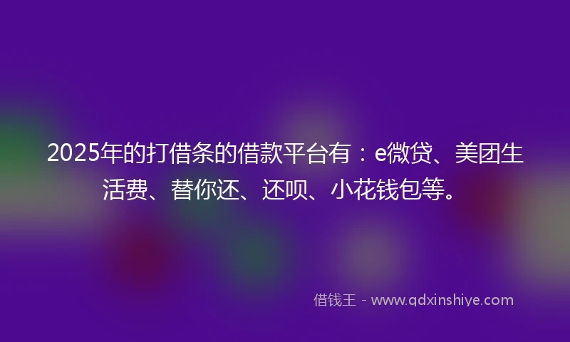 2025年的打借条的借款平台有：e微贷、美团生活费、替你还、还呗、小花钱包等。