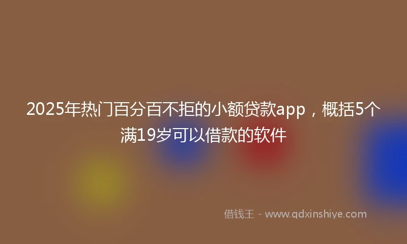 2025年热门百分百不拒的小额贷款app，概括5个满19岁可以借款的软件