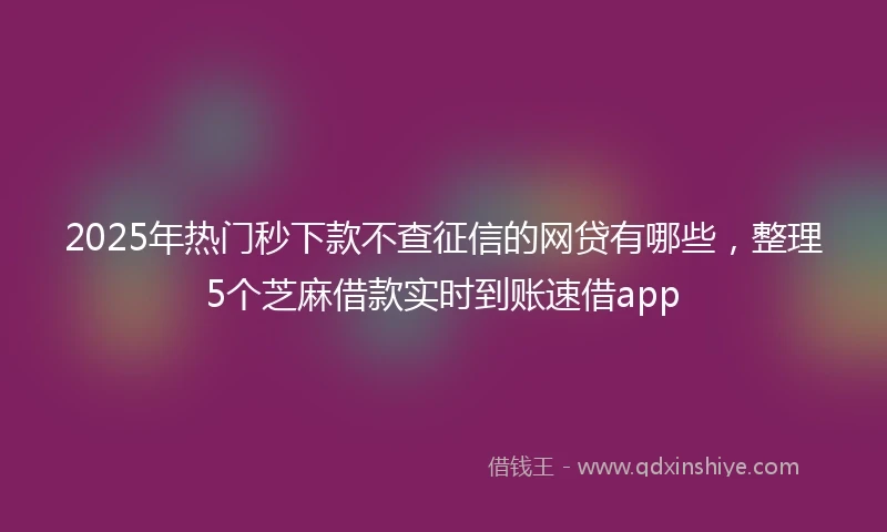 2025年热门秒下款不查征信的网贷有哪些,整理5个芝麻借款实时到账速借app