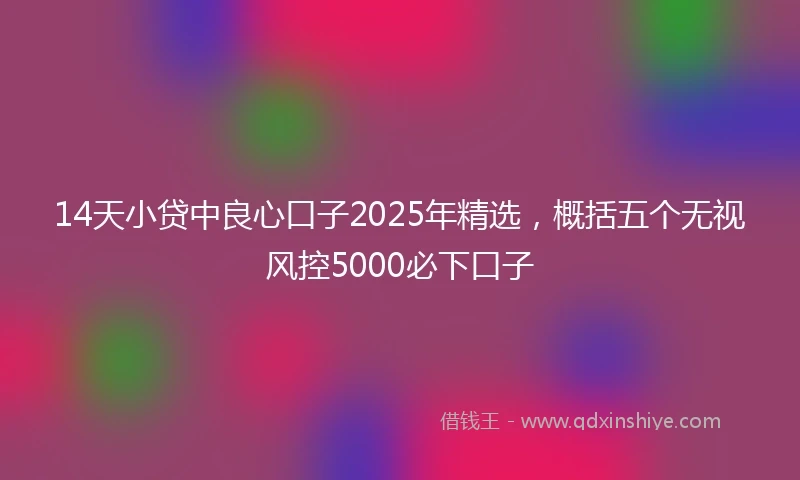 14天小贷中良心口子2025年精选，概括五个无视风控5000必下口子