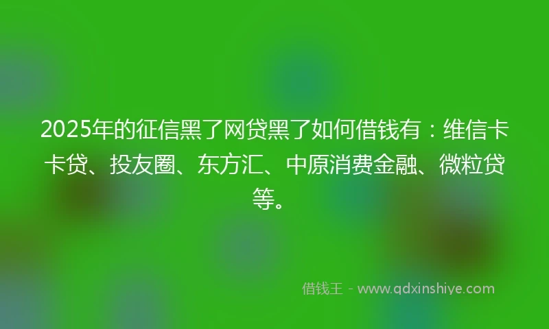 2025年的征信黑了网贷黑了如何借钱有：维信卡卡贷、投友圈、东方汇、中原消费金融、微粒贷等。