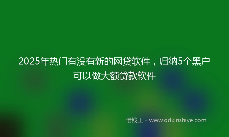2025年热门有没有新的网贷软件，归纳5个黑户可以做大额贷款软件