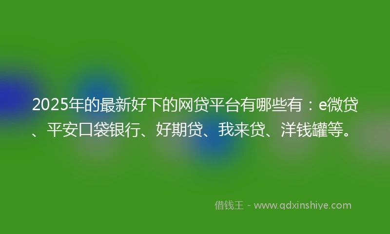 2025年的最新好下的网贷平台有哪些有：e微贷、平安口袋银行、好期贷、我来贷、洋钱罐等。