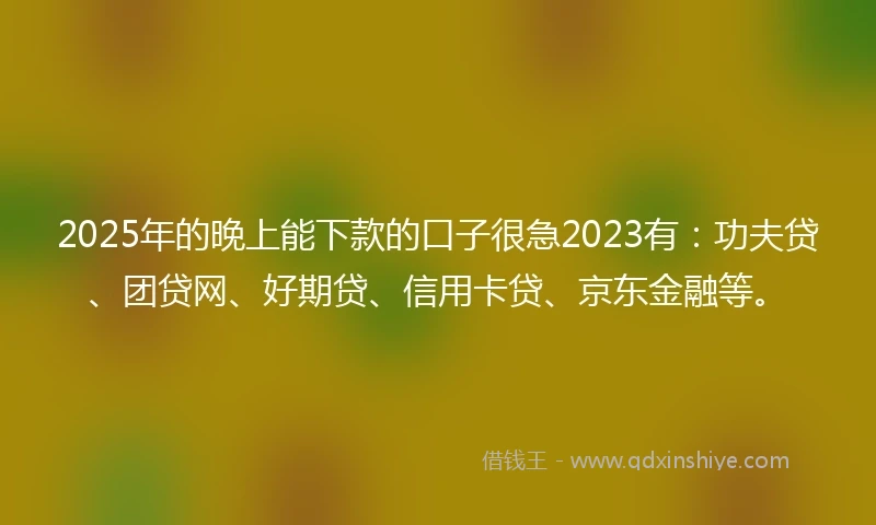 2025年的晚上能下款的口子很急2023有：功夫贷、团贷网、好期贷、信用卡贷、京东金融等。
