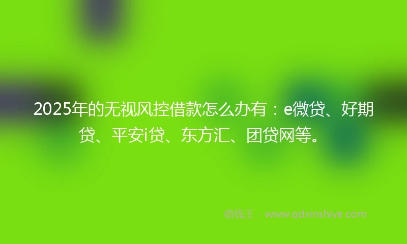 2025年的无视风控借款怎么办有：e微贷、好期贷、平安i贷、东方汇、团贷网等。