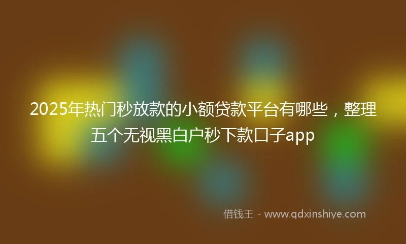 2025年热门秒放款的小额贷款平台有哪些，整理五个无视黑白户秒下款口子app
