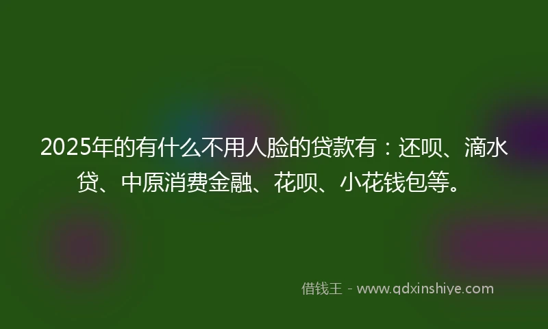 2025年的有什么不用人脸的贷款有：还呗、滴水贷、中原消费金融、花呗、小花钱包等。