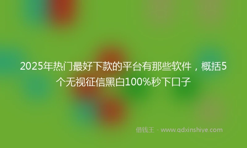 2025年热门最好下款的平台有那些软件，概括5个无视征信黑白100%秒下口子