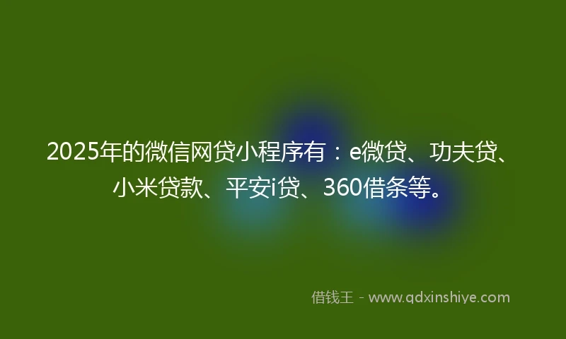 2025年的微信网贷小程序有：e微贷、功夫贷、小米贷款、平安i贷、360借条等。
