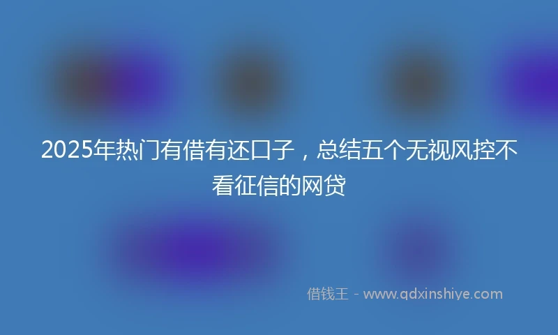 2025年热门有借有还口子，总结五个无视风控不看征信的网贷