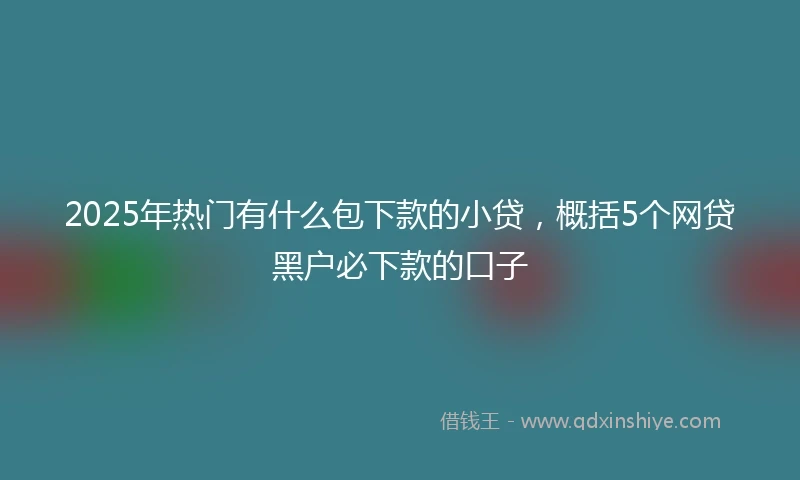 2025年热门有什么包下款的小贷，概括5个网贷黑户必下款的口子