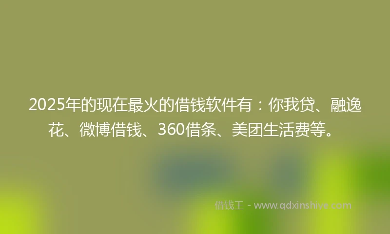 2025年的现在最火的借钱软件有：你我贷、融逸花、微博借钱、360借条、美团生活费等。