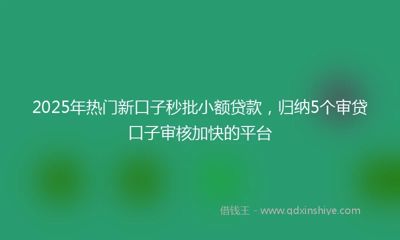 2025年热门新口子秒批小额贷款，归纳5个审贷口子审核加快的平台