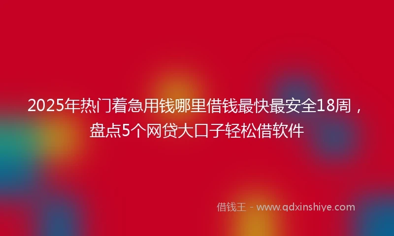 2025年热门着急用钱哪里借钱最快最安全18周，盘点5个网贷大口子轻松借软件