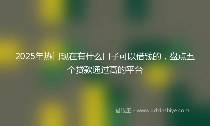 2025年热门现在有什么口子可以借钱的，盘点五个贷款通过高的平台