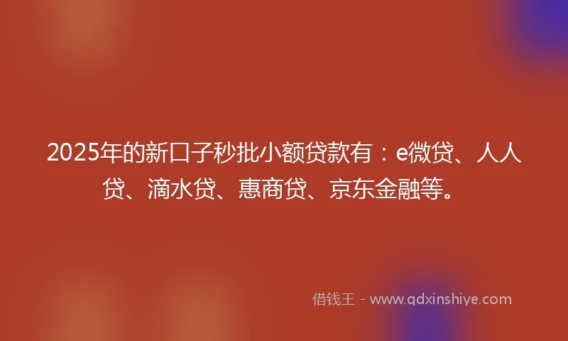 2025年的新口子秒批小额贷款有：e微贷、人人贷、滴水贷、惠商贷、京东金融等。