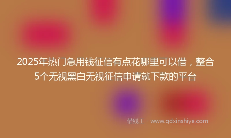 2025年热门急用钱征信有点花哪里可以借，整合5个无视黑白无视征信申请就下款的平台