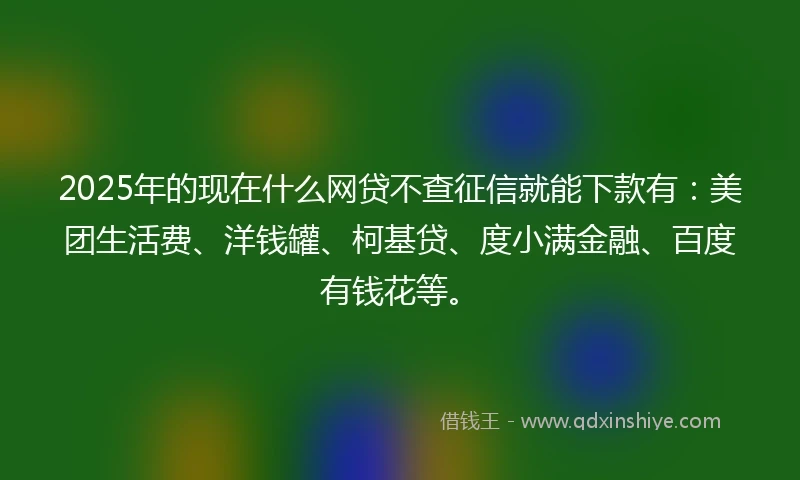2025年的现在什么网贷不查征信就能下款有：美团生活费、洋钱罐、柯基贷、度小满金融、百度有钱花等。