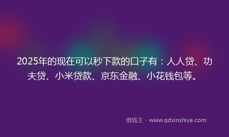 2025年的现在可以秒下款的口子有：人人贷、功夫贷、小米贷款、京东金融、小花钱包等。