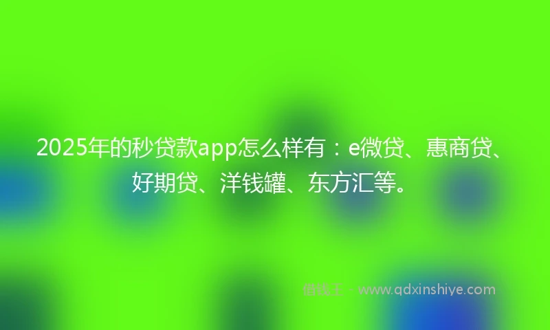2025年的秒贷款app怎么样有：e微贷、惠商贷、好期贷、洋钱罐、东方汇等。