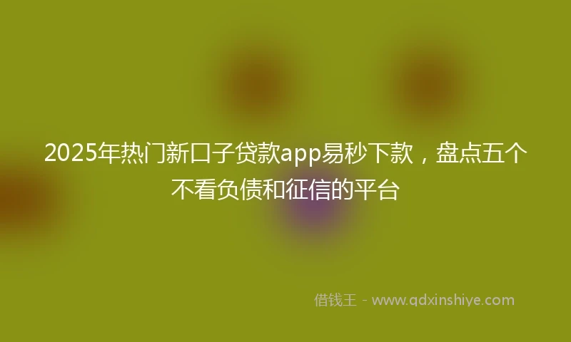 2025年热门新口子贷款app易秒下款，盘点五个不看负债和征信的平台