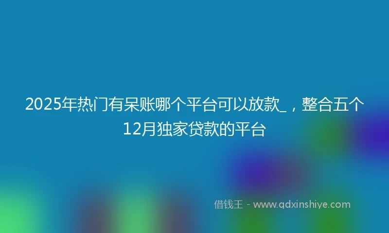 2025年热门有呆账哪个平台可以放款_，整合五个12月独家贷款的平台