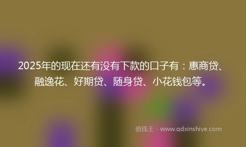 2025年的现在还有没有下款的口子有：惠商贷、融逸花、好期贷、随身贷、小花钱包等。