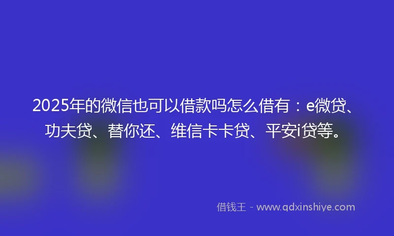 2025年的微信也可以借款吗怎么借有：e微贷、功夫贷、替你还、维信卡卡贷、平安i贷等。