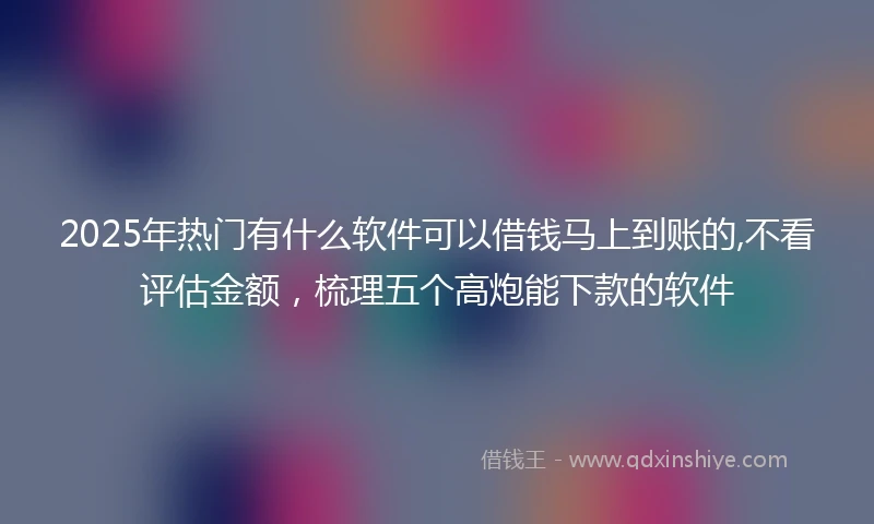 2025年热门有什么软件可以借钱马上到账的,不看评估金额，梳理五个高炮能下款的软件