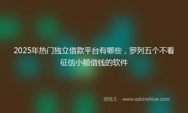 2025年热门独立借款平台有哪些，罗列五个不看征信小额借钱的软件