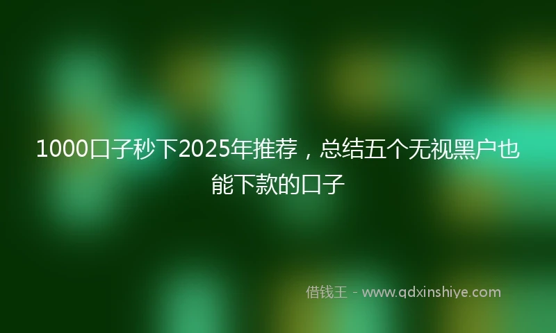 1000口子秒下2025年推荐，总结五个无视黑户也能下款的口子