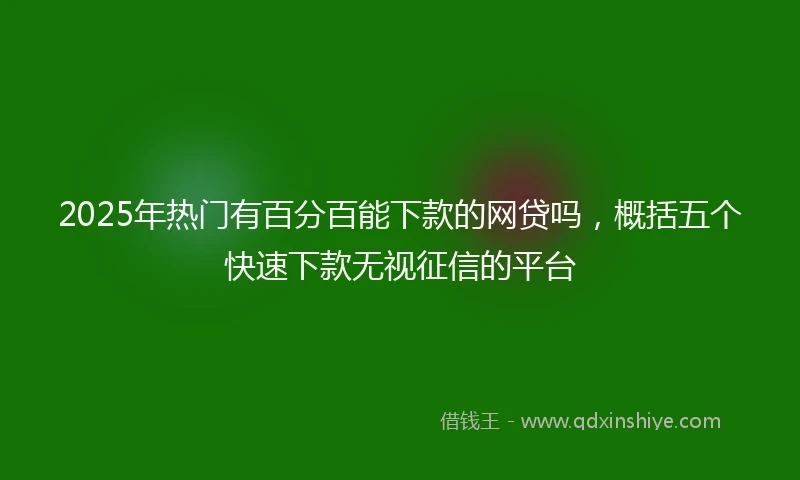 2025年热门有百分百能下款的网贷吗，概括五个快速下款无视征信的平台