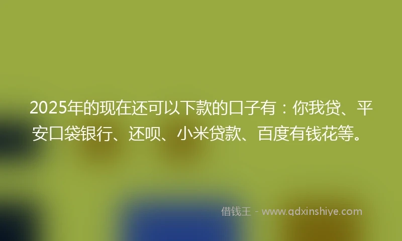2025年的现在还可以下款的口子有：你我贷、平安口袋银行、还呗、小米贷款、百度有钱花等。
