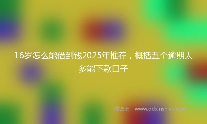 16岁怎么能借到钱2025年推荐，概括五个逾期太多能下款口子