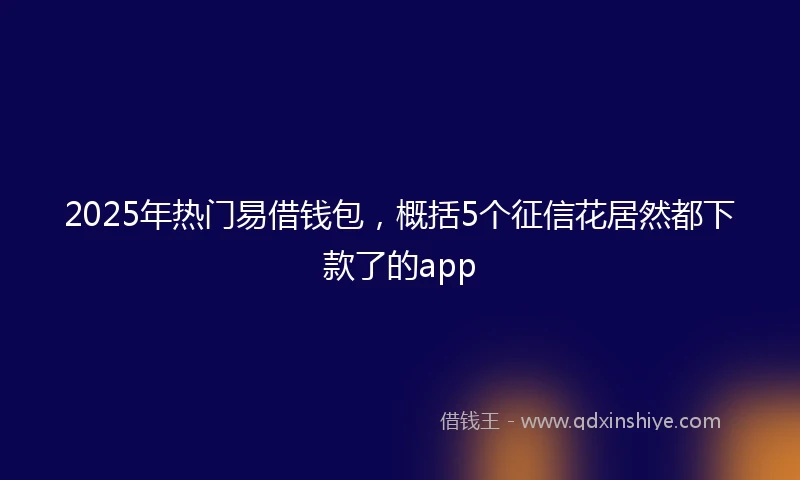 2025年热门易借钱包，概括5个征信花居然都下款了的app