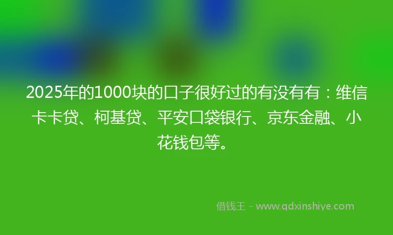 2025年的1000块的口子很好过的有没有有：维信卡卡贷、柯基贷、平安口袋银行、京东金融、小花钱包等。