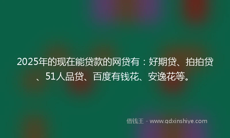 2025年的现在能贷款的网贷有：好期贷、拍拍贷、51人品贷、百度有钱花、安逸花等。