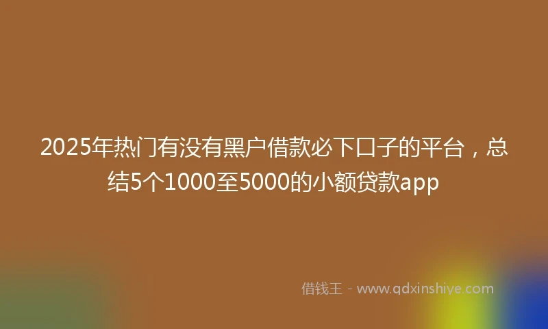 2025年热门有没有黑户借款必下口子的平台，总结5个1000至5000的小额贷款app