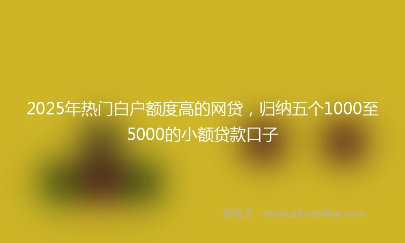 2025年热门白户额度高的网贷，归纳五个1000至5000的小额贷款口子