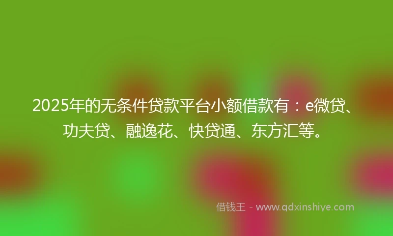 2025年的无条件贷款平台小额借款有：e微贷、功夫贷、融逸花、快贷通、东方汇等。